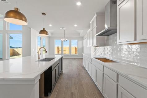 237 Sheepdog Drive Liberty Hill TX 78642