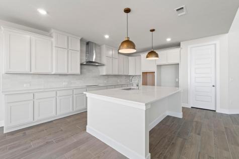 237 Sheepdog Drive Liberty Hill TX 78642