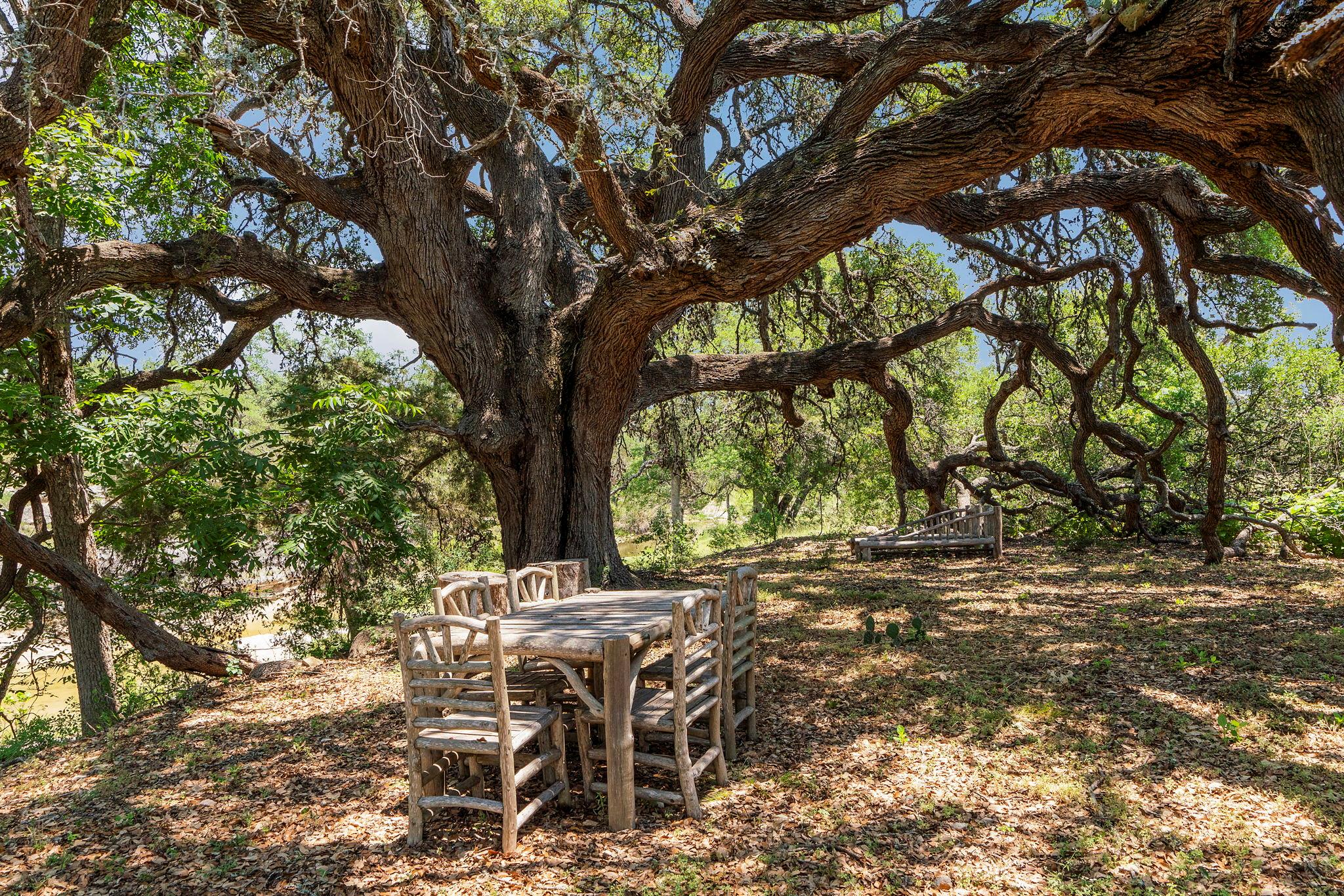 4073 Bell Springs Road Dripping Springs TX 78620