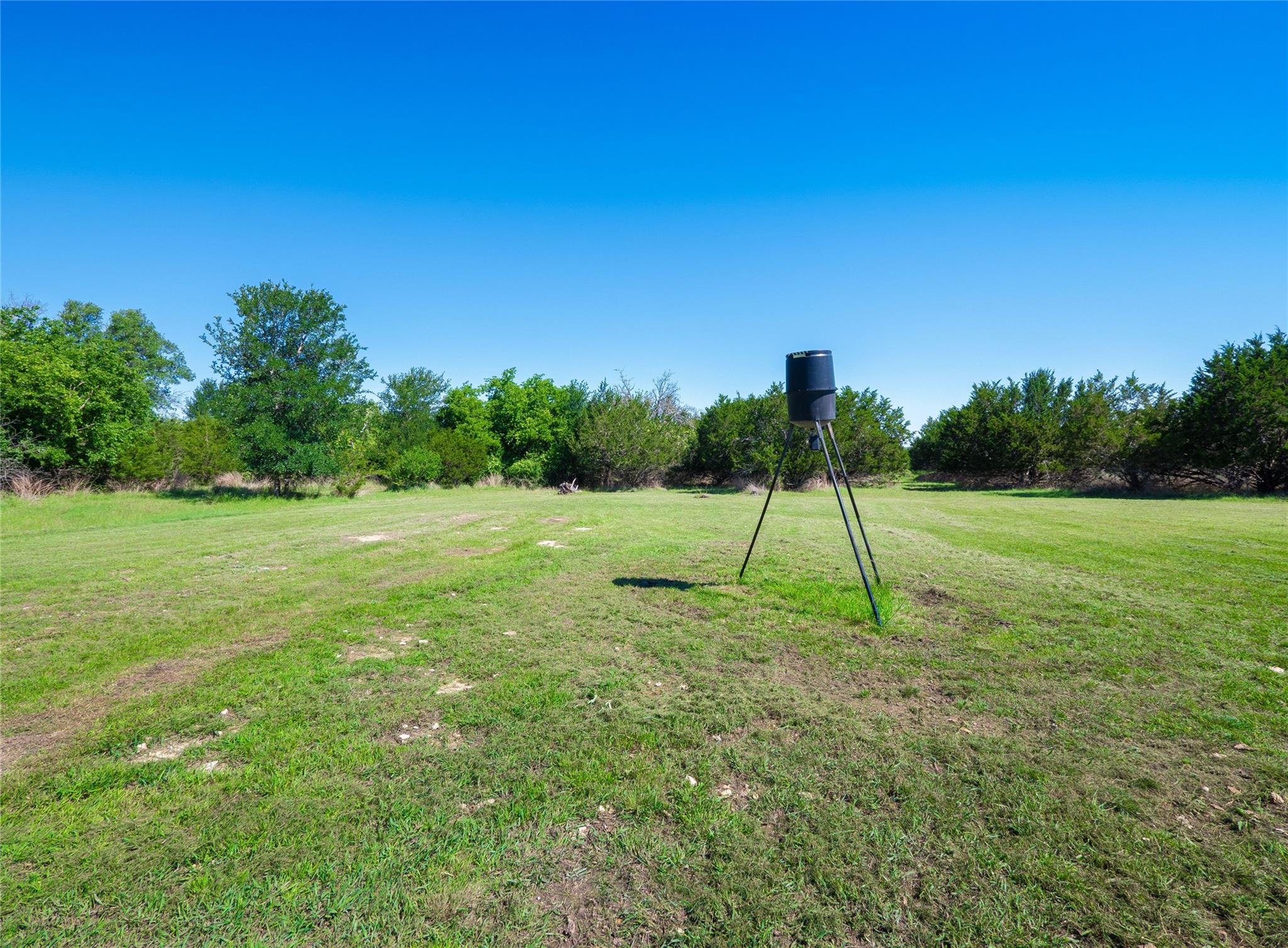 411 Avila Lane Briggs TX 78608