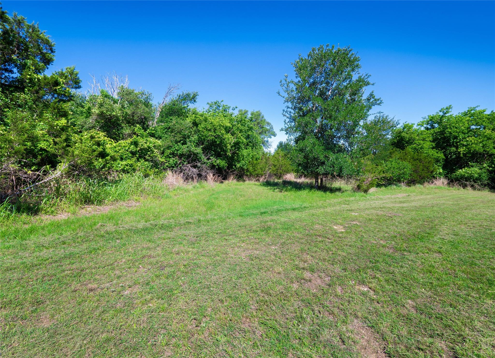 411 Avila Lane Briggs TX 78608