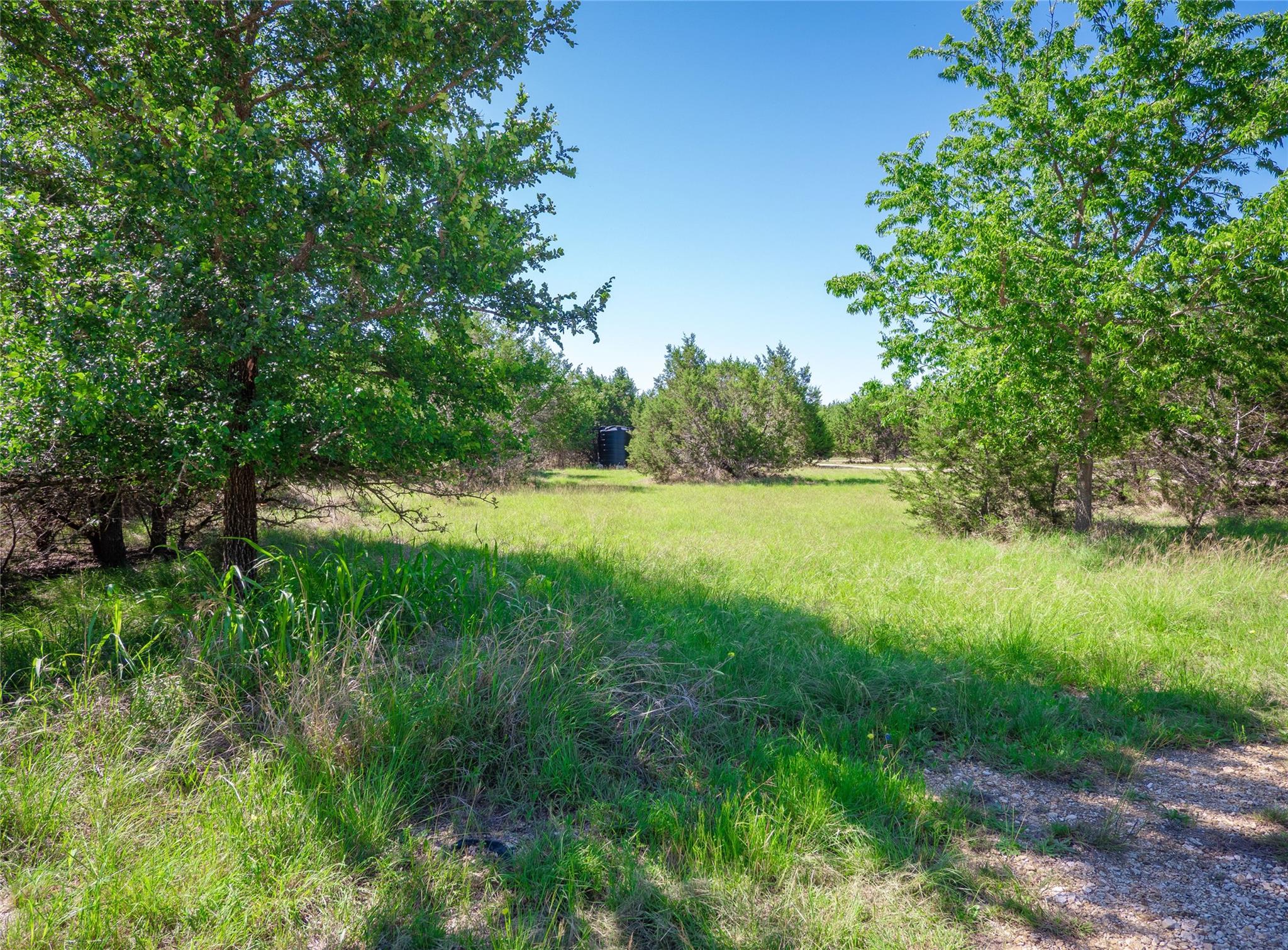 411 Avila Lane Briggs TX 78608