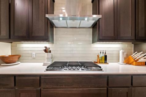 12528 Cardinal Flower Drive Austin TX 78739