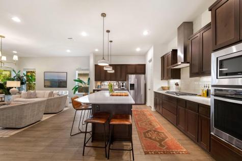 12528 Cardinal Flower Drive Austin TX 78739