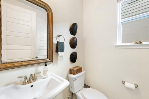 12528 Cardinal Flower Drive Austin TX 78739