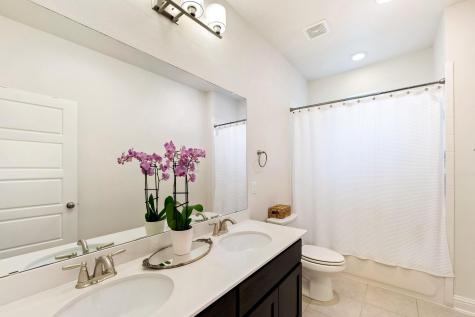 12528 Cardinal Flower Drive Austin TX 78739