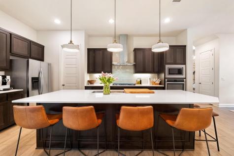 12528 Cardinal Flower Drive Austin TX 78739