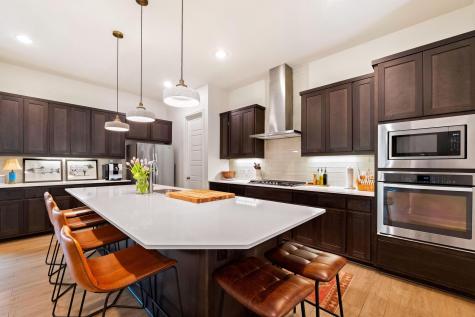 12528 Cardinal Flower Drive Austin TX 78739