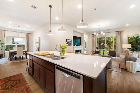 12528 Cardinal Flower Drive Austin TX 78739