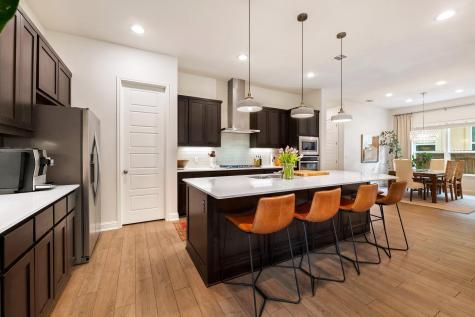 12528 Cardinal Flower Drive Austin TX 78739