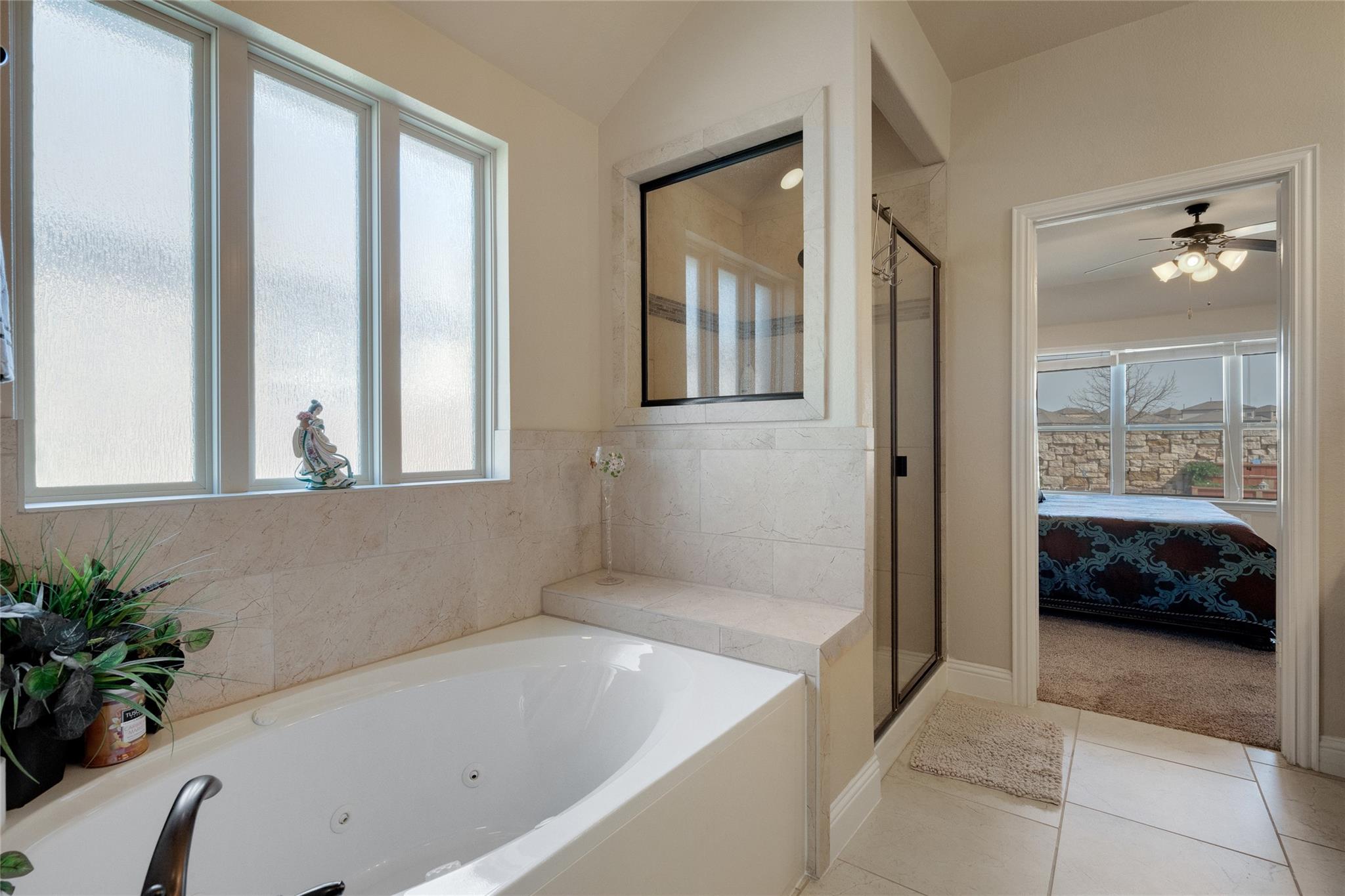 441 Mistflower Springs Drive Leander TX 78641
