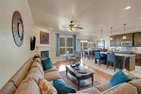 441 Mistflower Springs Drive Leander TX 78641