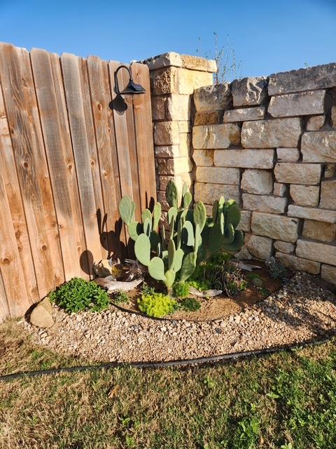 441 Mistflower Springs Drive Leander TX 78641