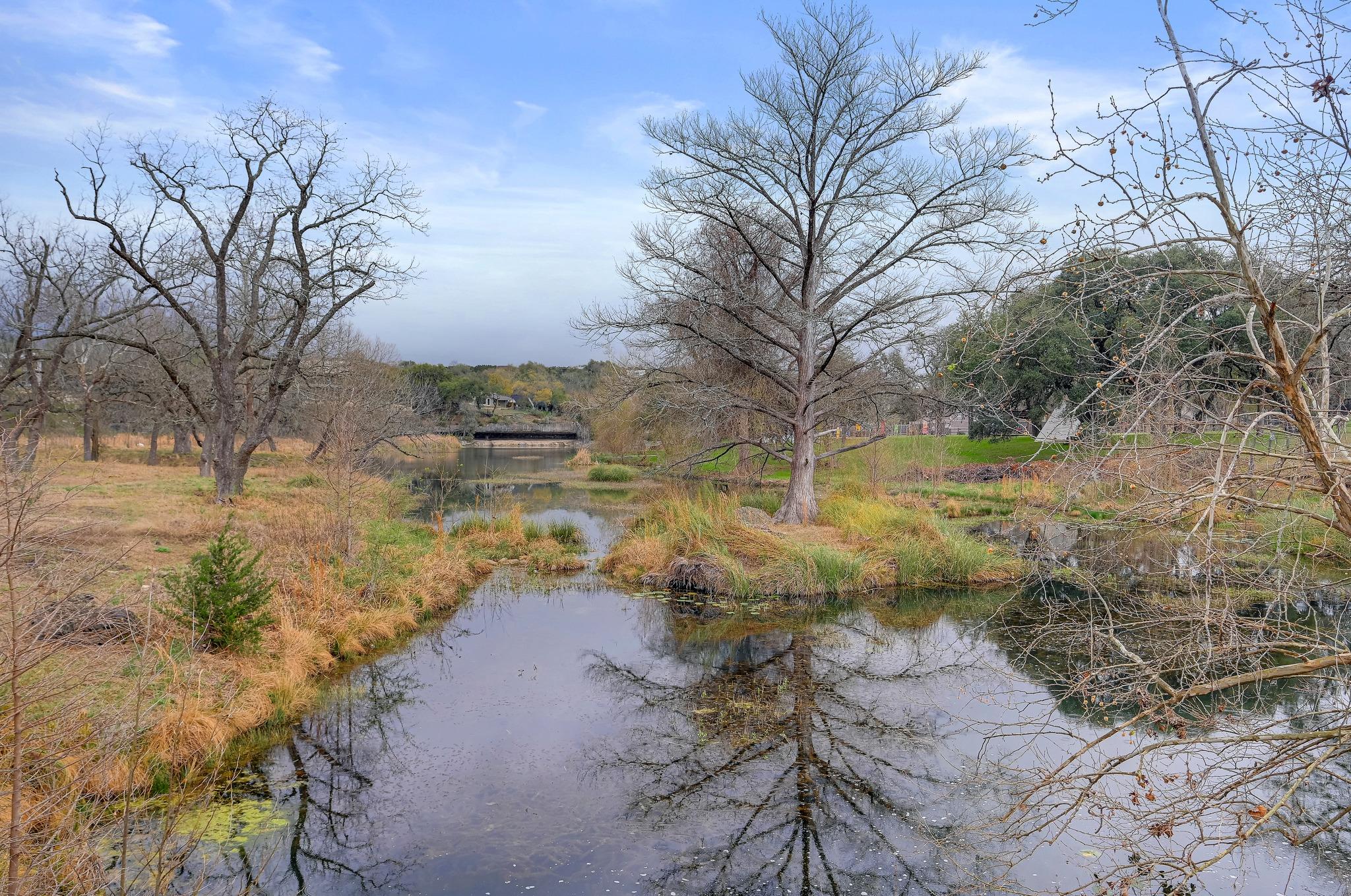 55 Champion Circle Wimberley TX 78676