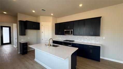 181 Ranier Way Dripping Springs TX 78620