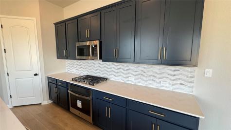181 Ranier Way Dripping Springs TX 78620