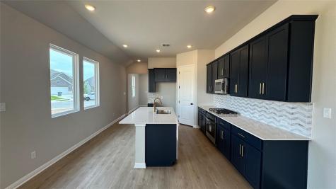 181 Ranier Way Dripping Springs TX 78620