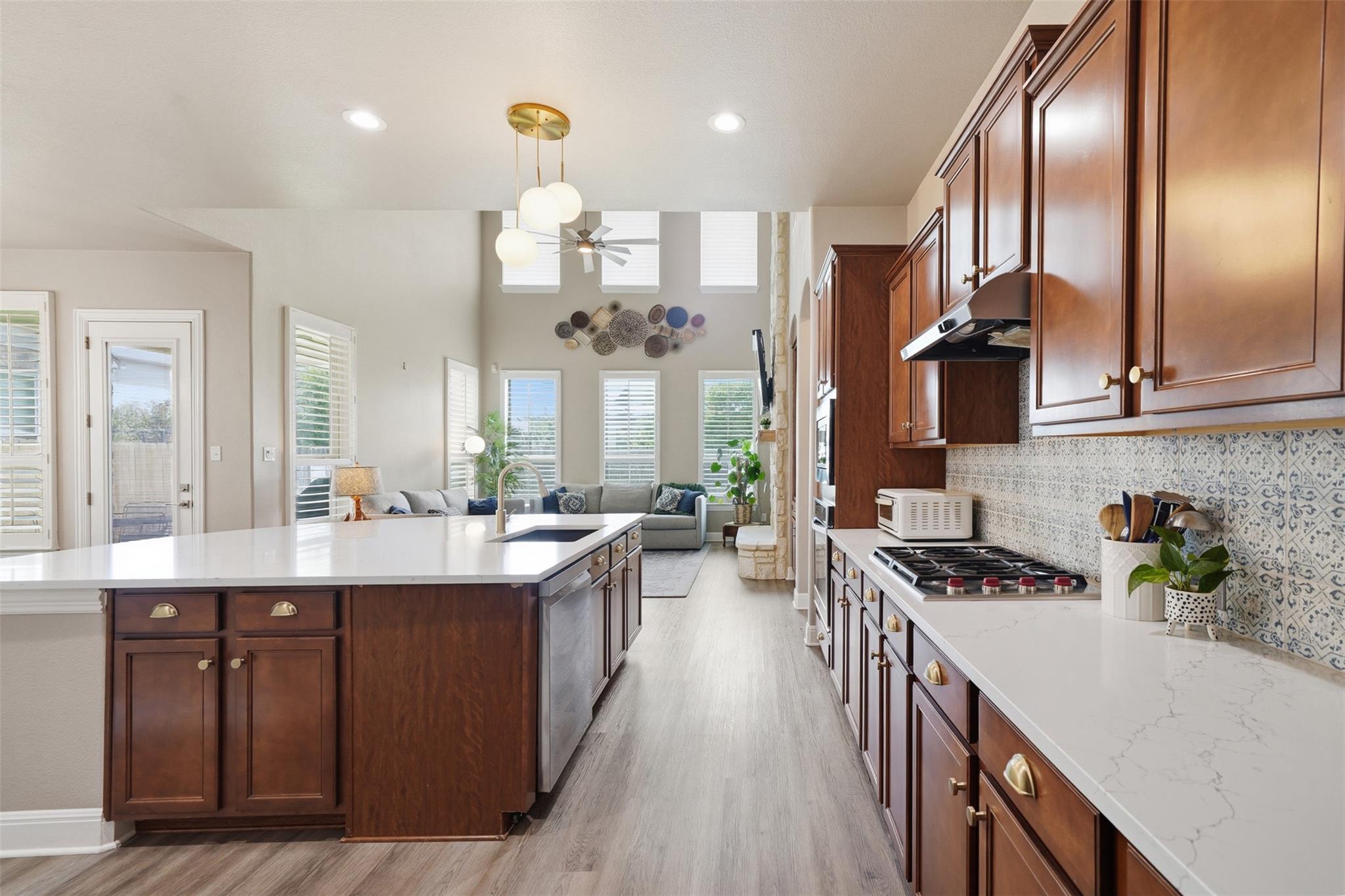 447 Clear Springs Hollow Buda TX 78610