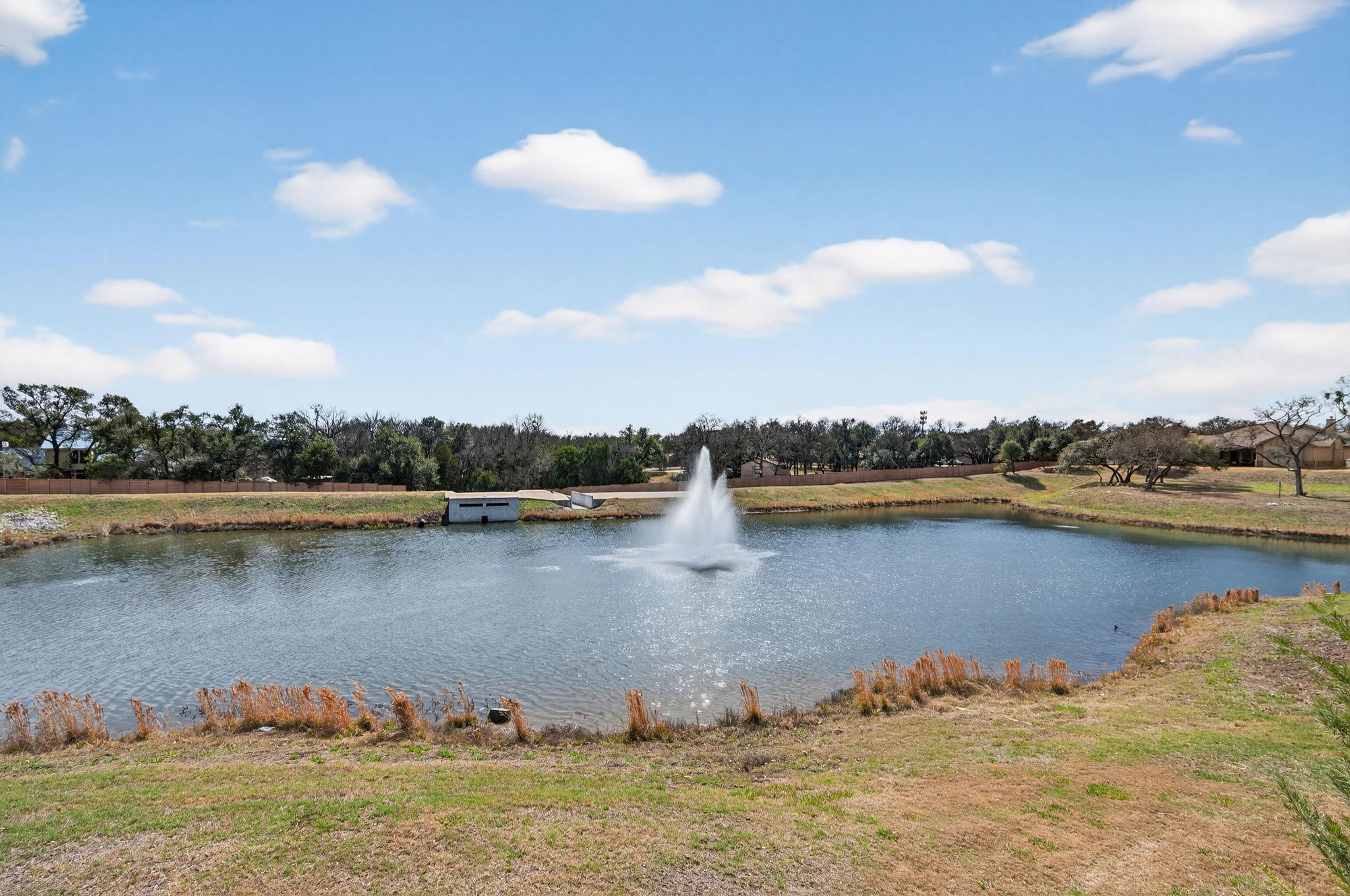 401 Skyflower Drive Georgetown TX 78628