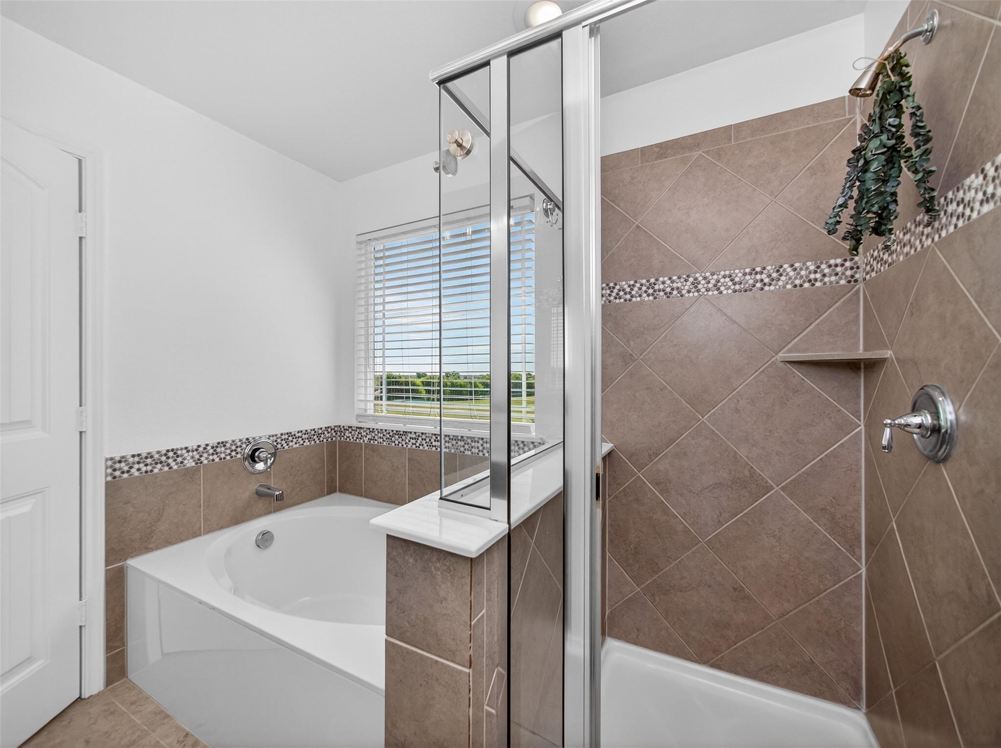 1015 Grande Mesa Drive Georgetown TX 78626