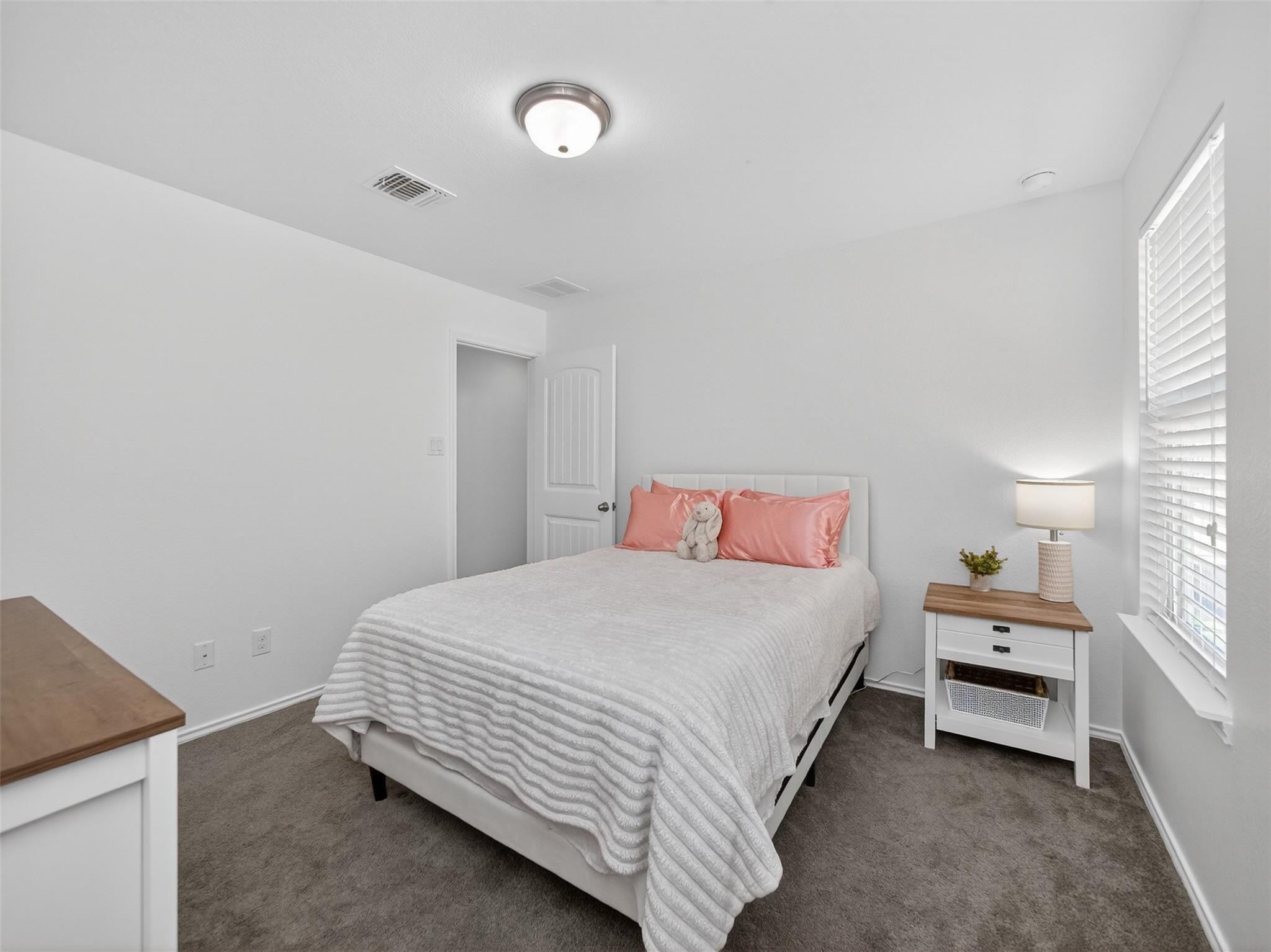 1015 Grande Mesa Drive Georgetown TX 78626