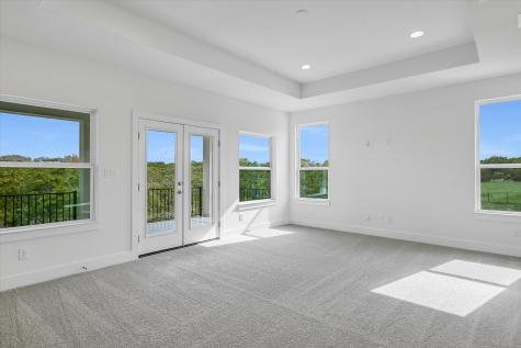 520 Wonderstruck Liberty Hill TX 78642