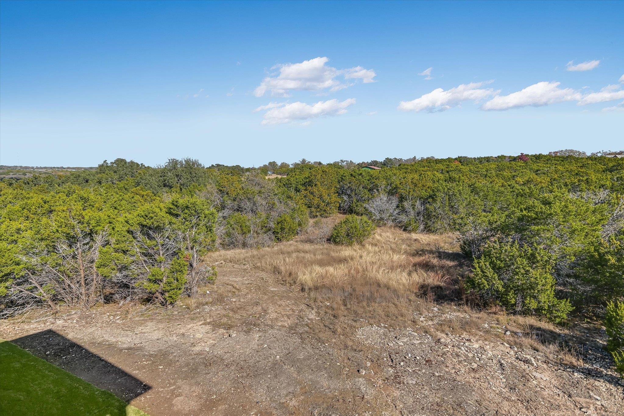 520 Wonderstruck Liberty Hill TX 78642