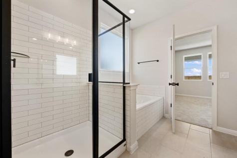 9801 Serene Bliss Lane Buda TX 78610