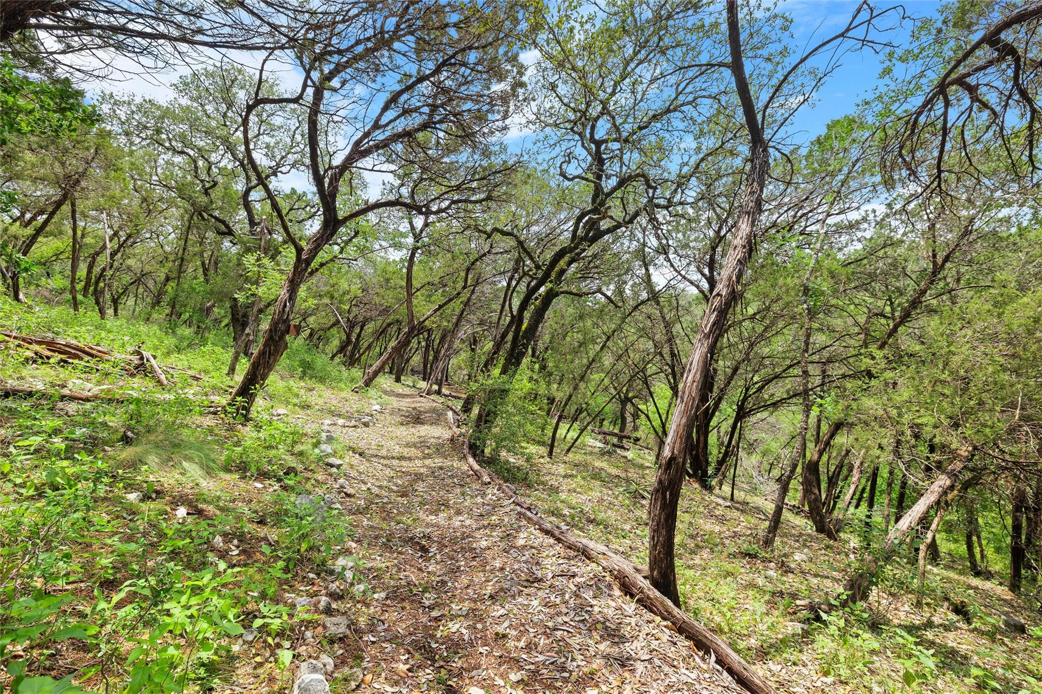 8540 Adirondack Trail Austin TX 78759