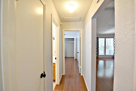 2402 Spring Wagon Lane Austin TX 78728