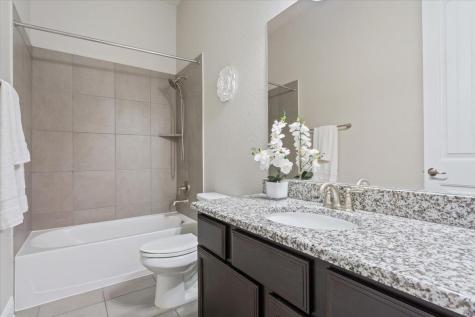 3916 Octavia Drive Pflugerville TX 78660