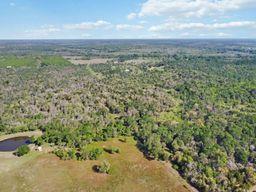 Tbd High Grove Road Cedar Creek TX 78612