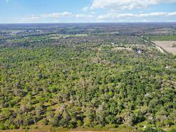 Tbd High Grove Road Cedar Creek TX 78612