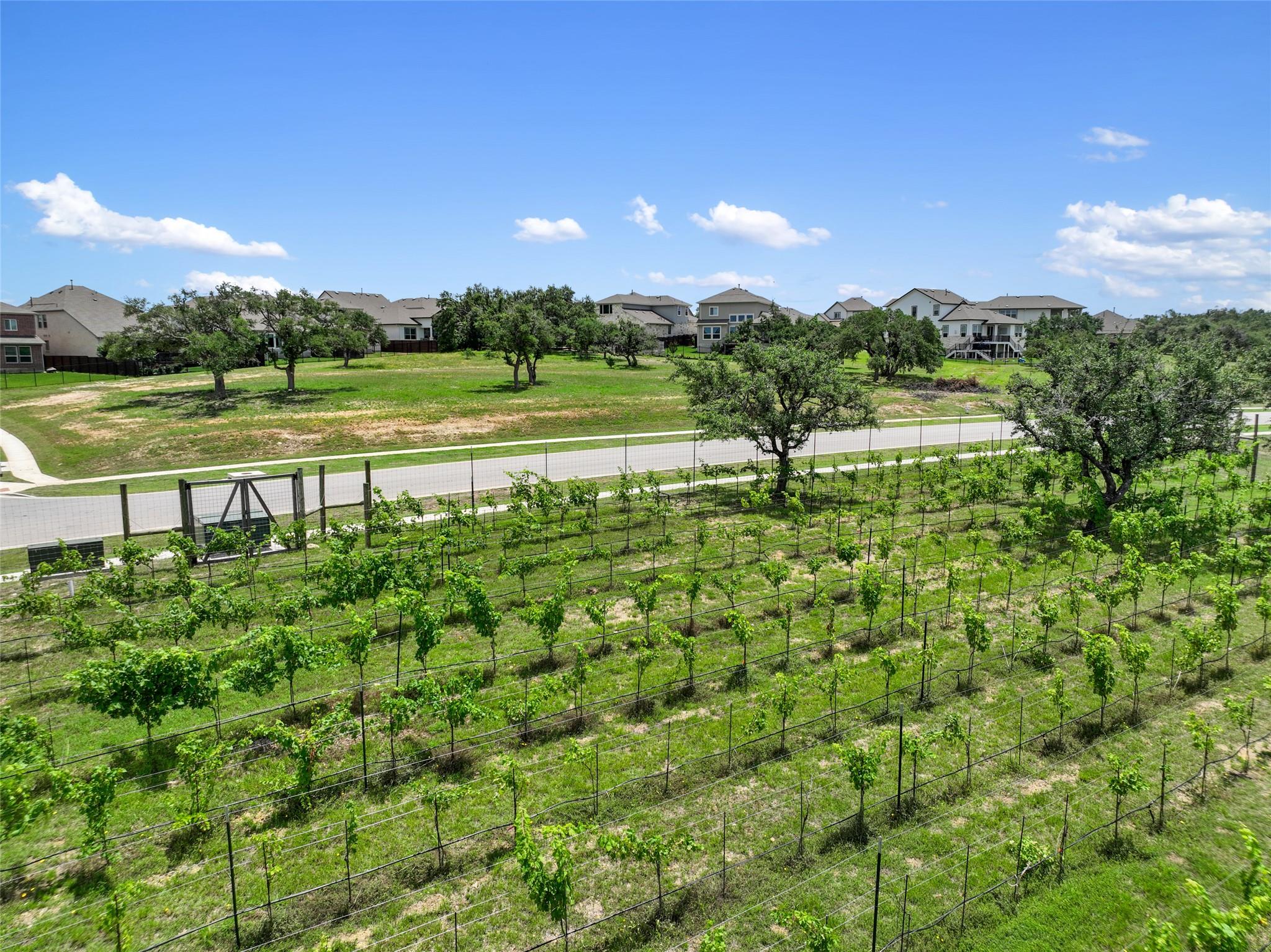 16913 Roselin Drive Austin TX 78738