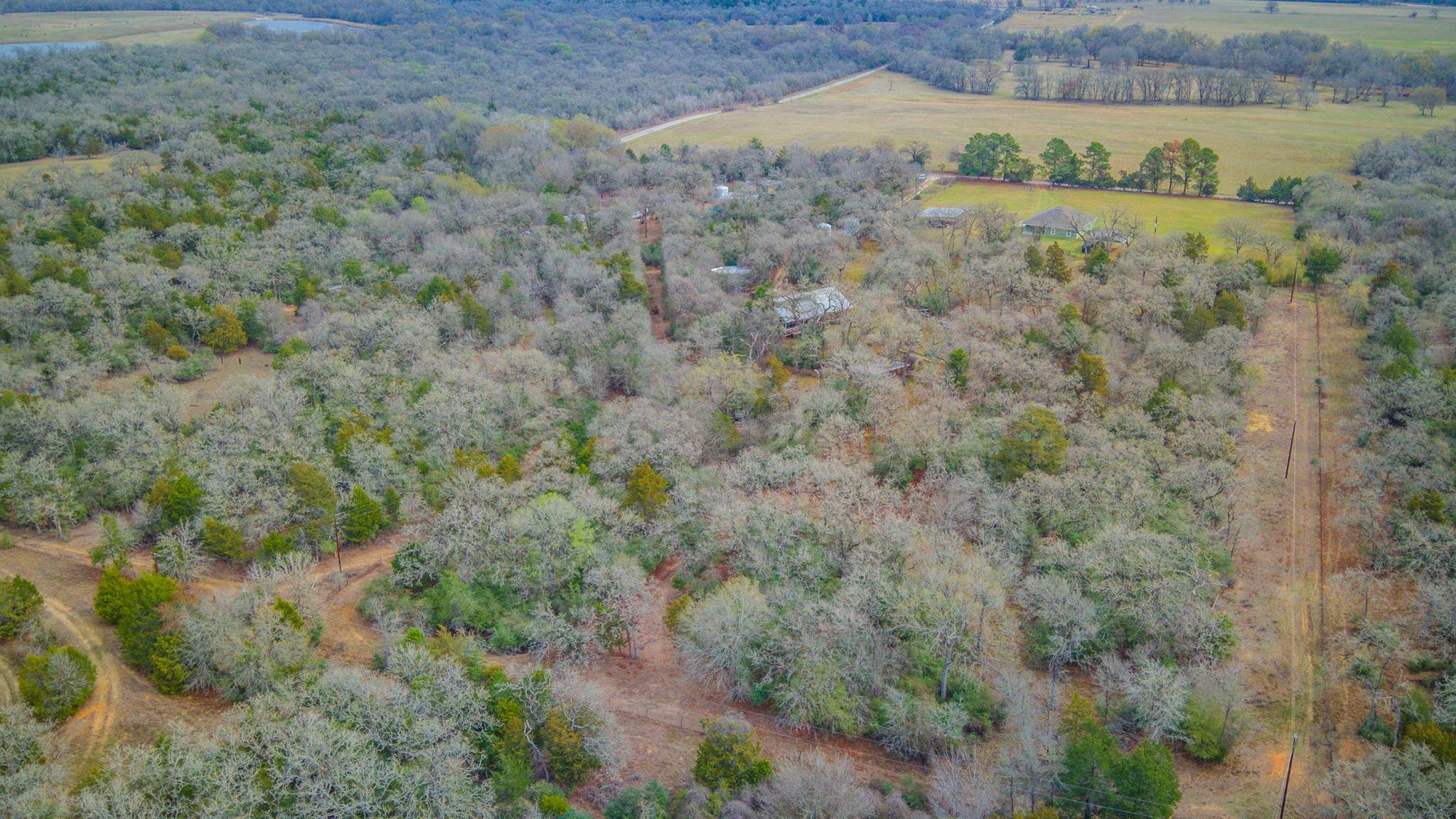 1597 County Road 314 Lexington TX 78947