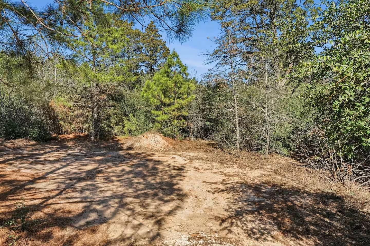201 Winfield Thicket Road Bastrop TX 78602