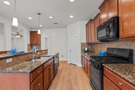 509 Davis Mountain Circle Georgetown TX 78633