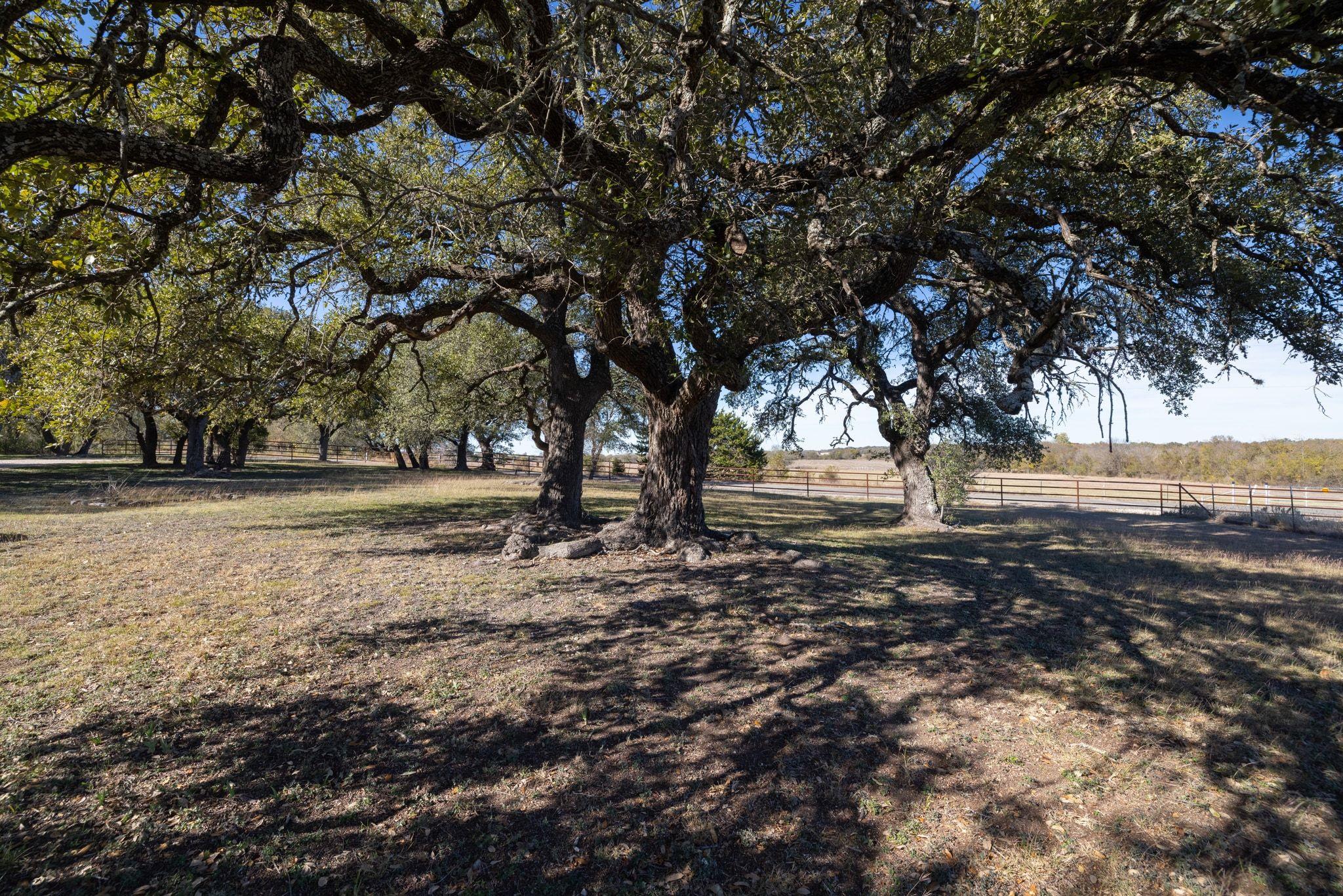 2450 County Road 124 Georgetown TX 78626