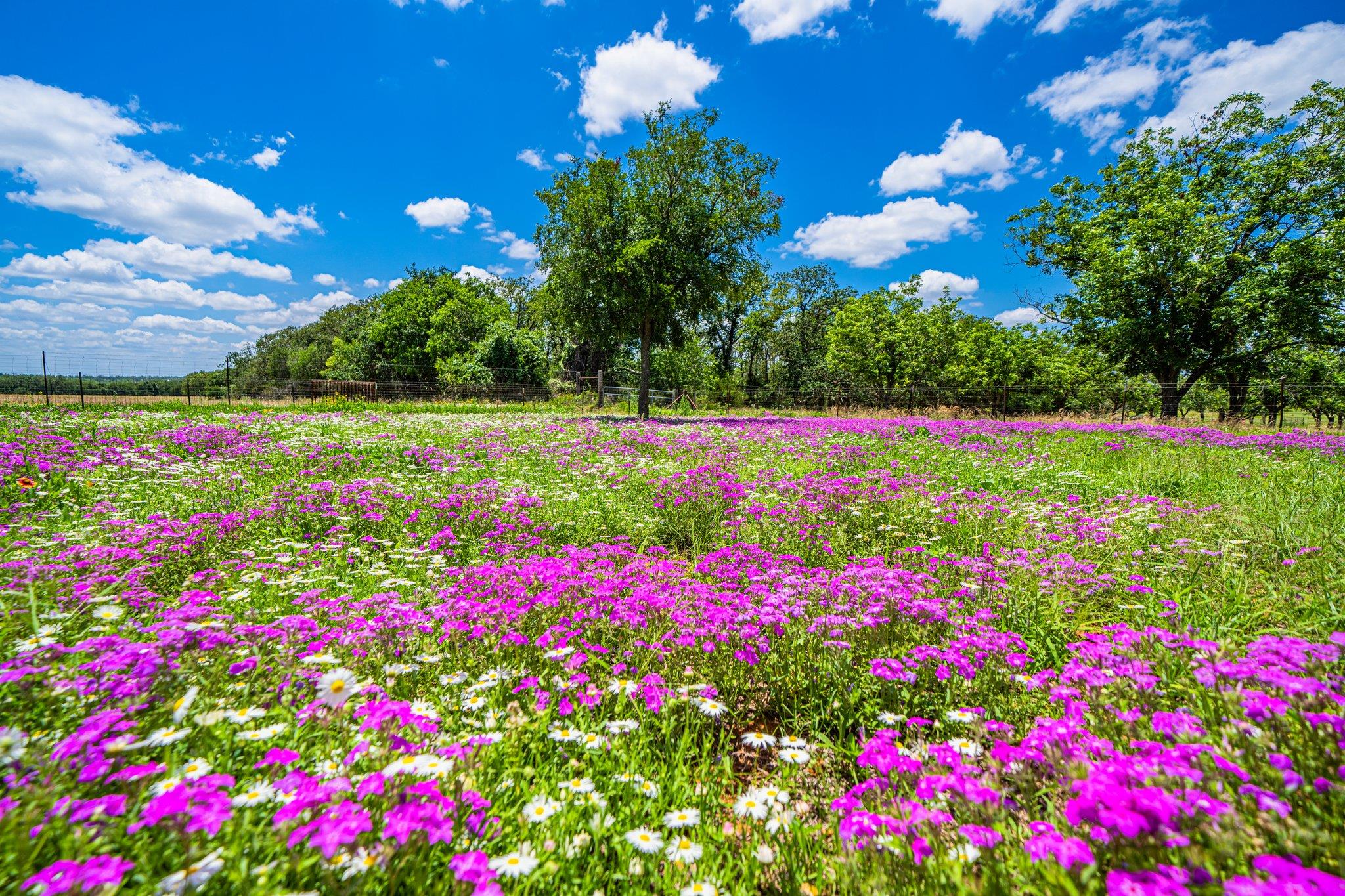 283 Hallford Fredericksburg TX 78624
