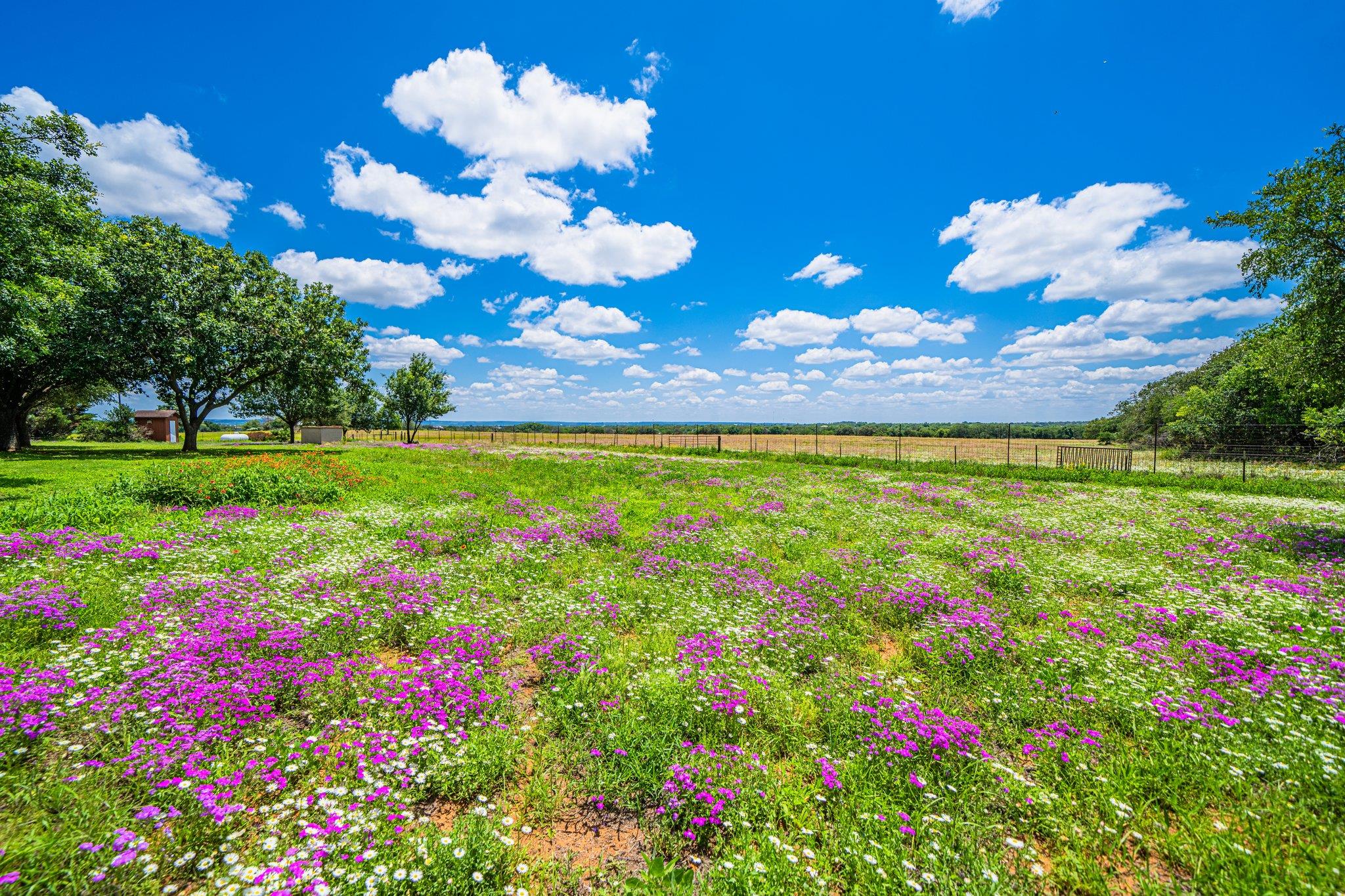 283 Hallford Fredericksburg TX 78624