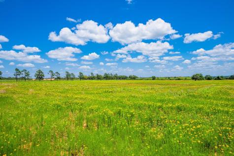 283 Hallford Fredericksburg TX 78624
