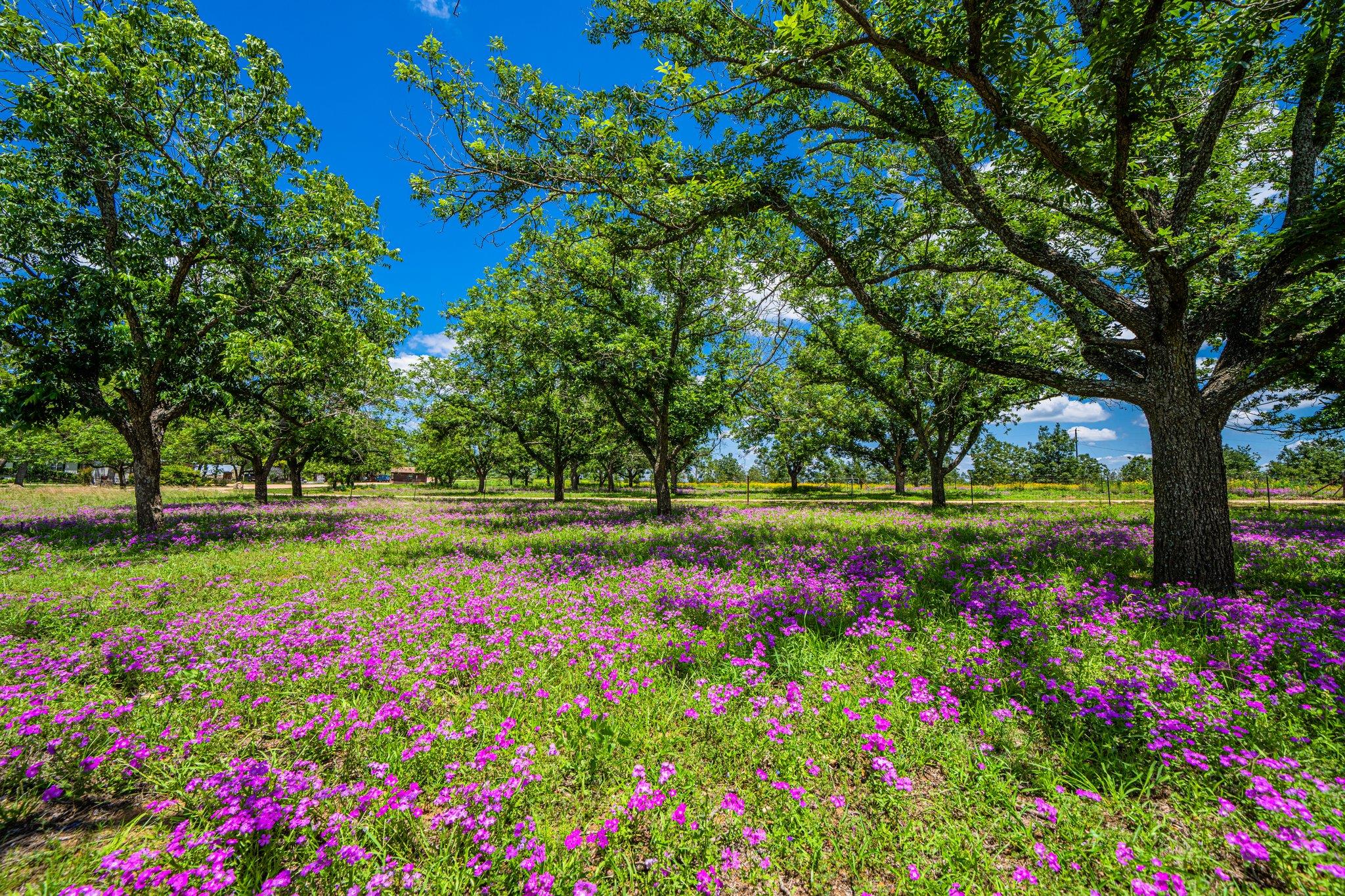 283 Hallford Fredericksburg TX 78624