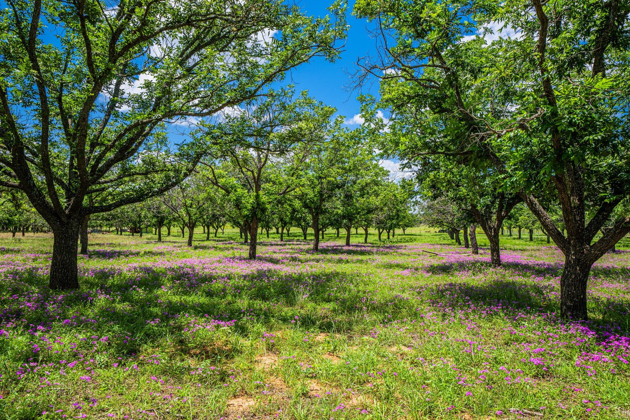 283 Hallford Fredericksburg TX 78624