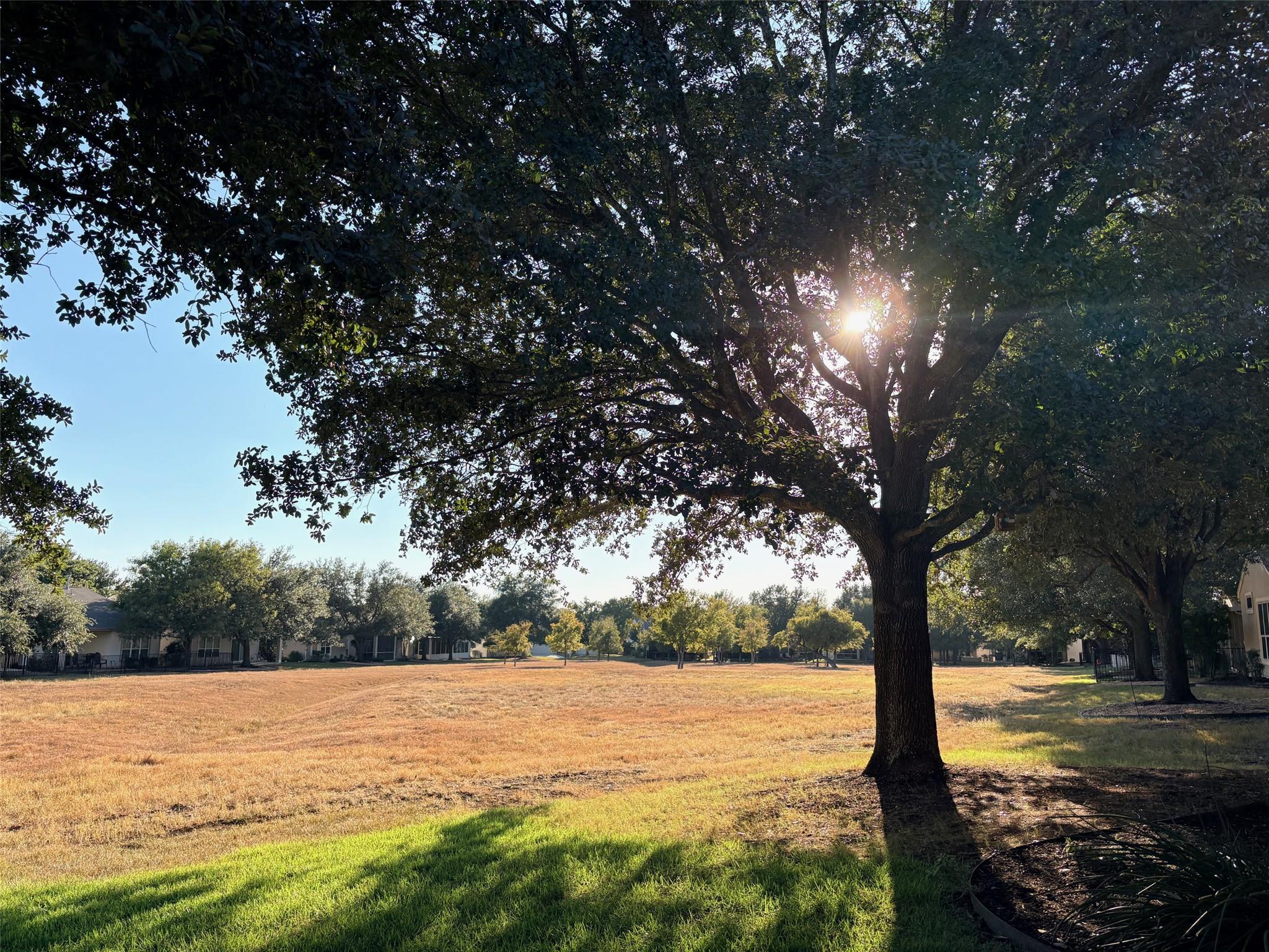 318 Crockett Loop Georgetown TX 78633