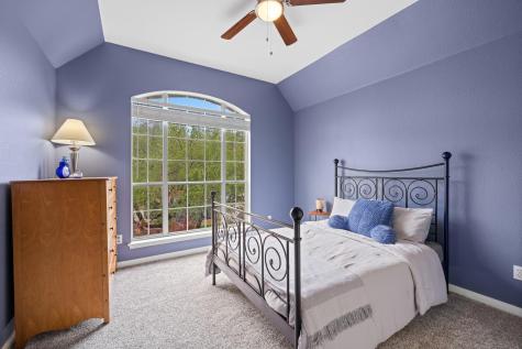1037 Cashew Lane Cedar Park TX 78613