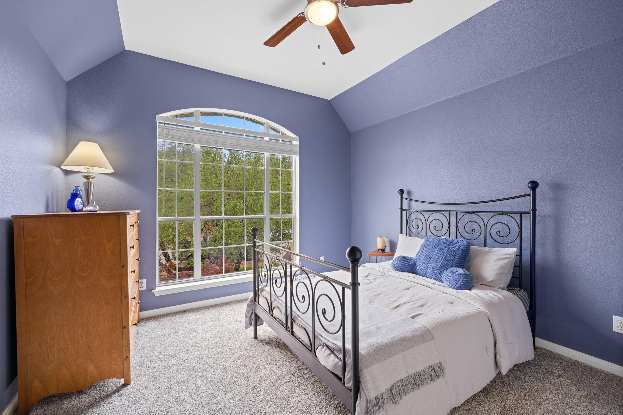 1037 Cashew Lane Cedar Park TX 78613