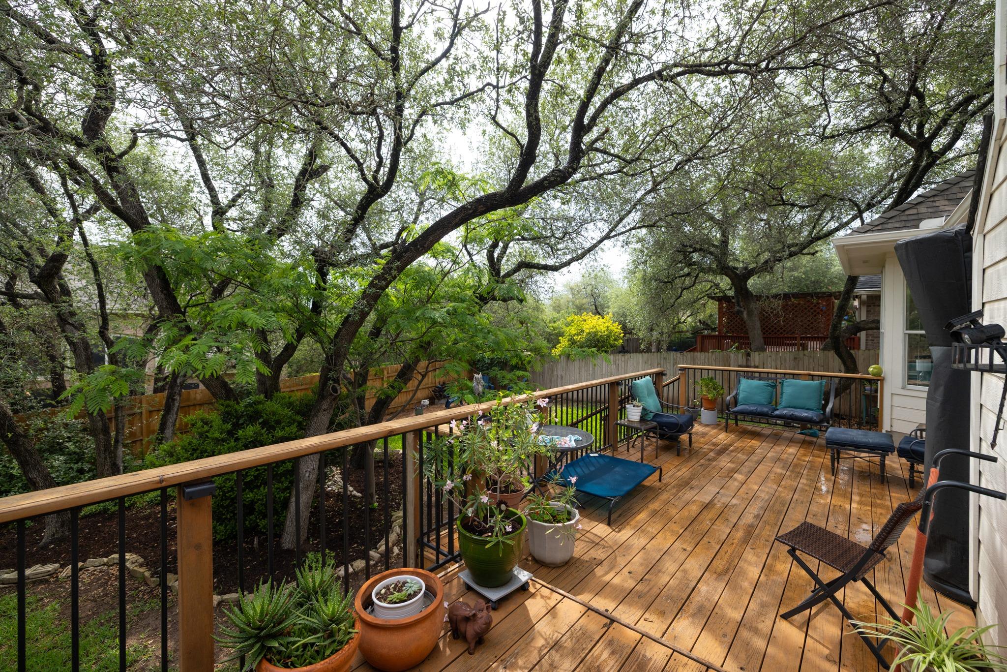 1037 Cashew Lane Cedar Park TX 78613