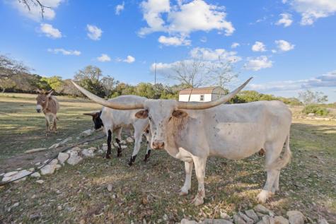 375 Branch Creek Trail Liberty Hill TX 78642