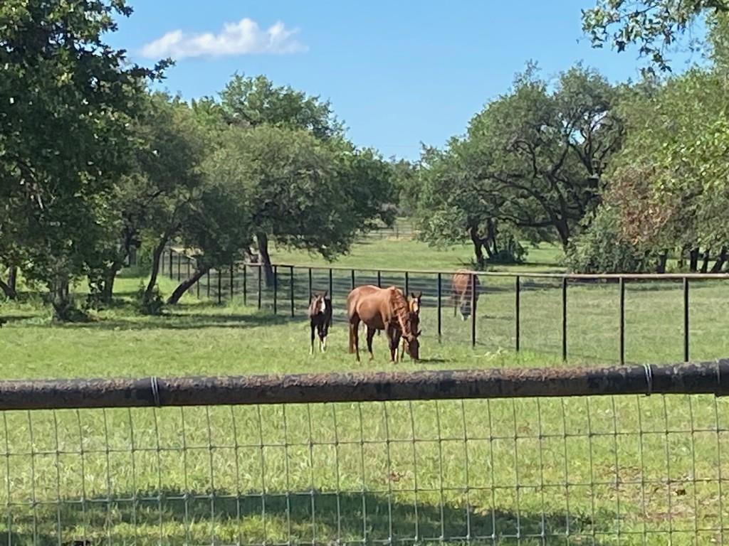 385 Country Lane Dripping Springs TX 78620