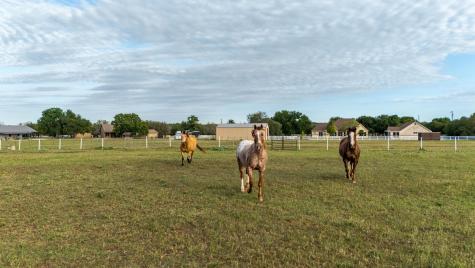 134 Creekside Drive Liberty Hill TX 78642